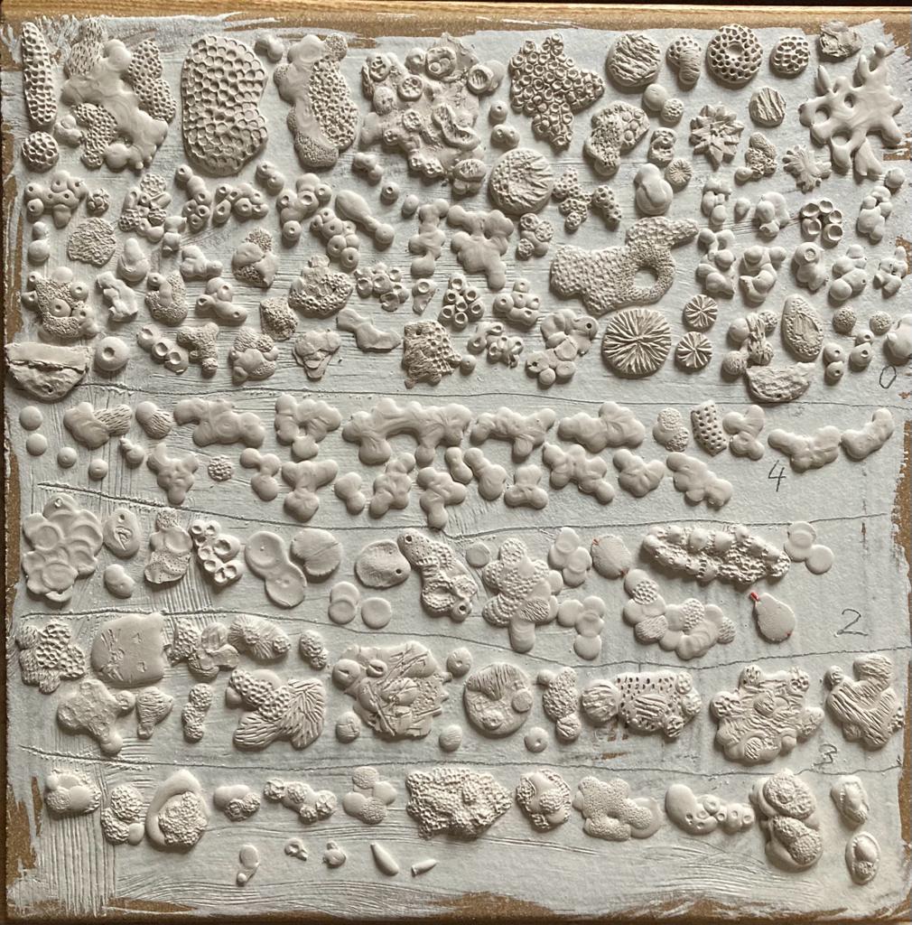 Obrázek WhatsApp, 2023-04-16 v 10.14.11