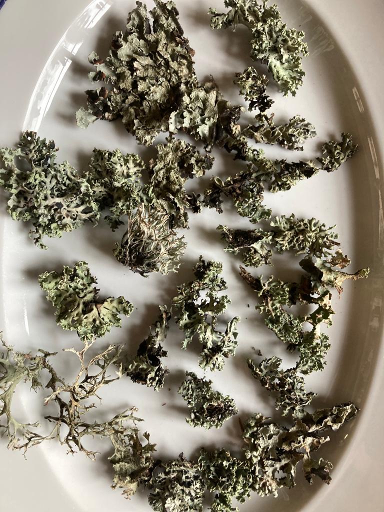 Obrázek WhatsApp, 2023-04-16 v 10.14.12