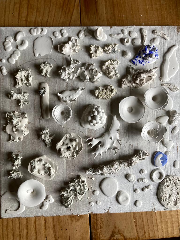 Obrázek WhatsApp, 2023-04-16 v 10.14.13