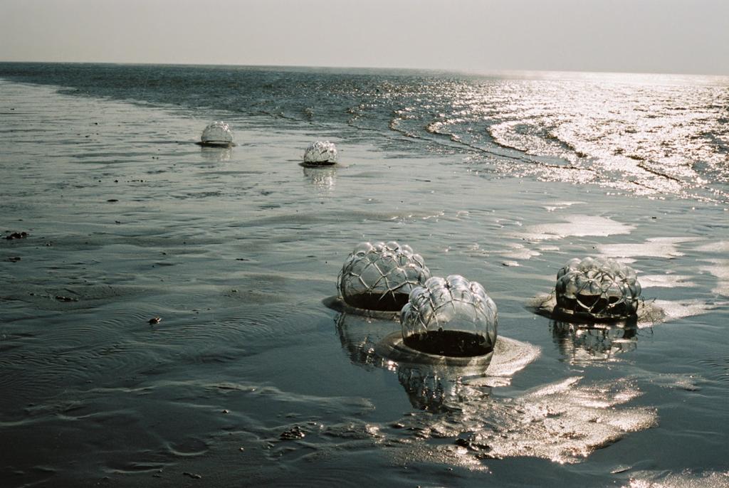 Obrázek WhatsApp, 2023-04-16 v 10.39.39