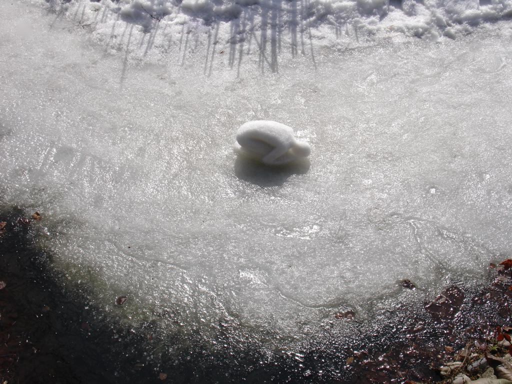 Obrázek WhatsApp, 2023-04-16 v 10.39.48